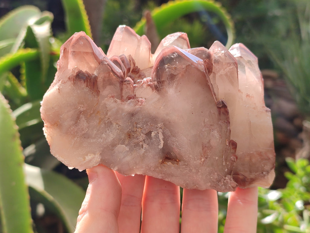Natural Hematoid Quartz Clusters x 3 From Karoi, Zimbabwe - Toprock Gemstones and Minerals 