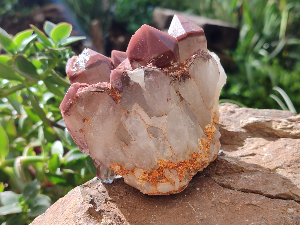 Natural Hematoid Quartz Clusters x 3 From Karoi, Zimbabwe - Toprock Gemstones and Minerals 
