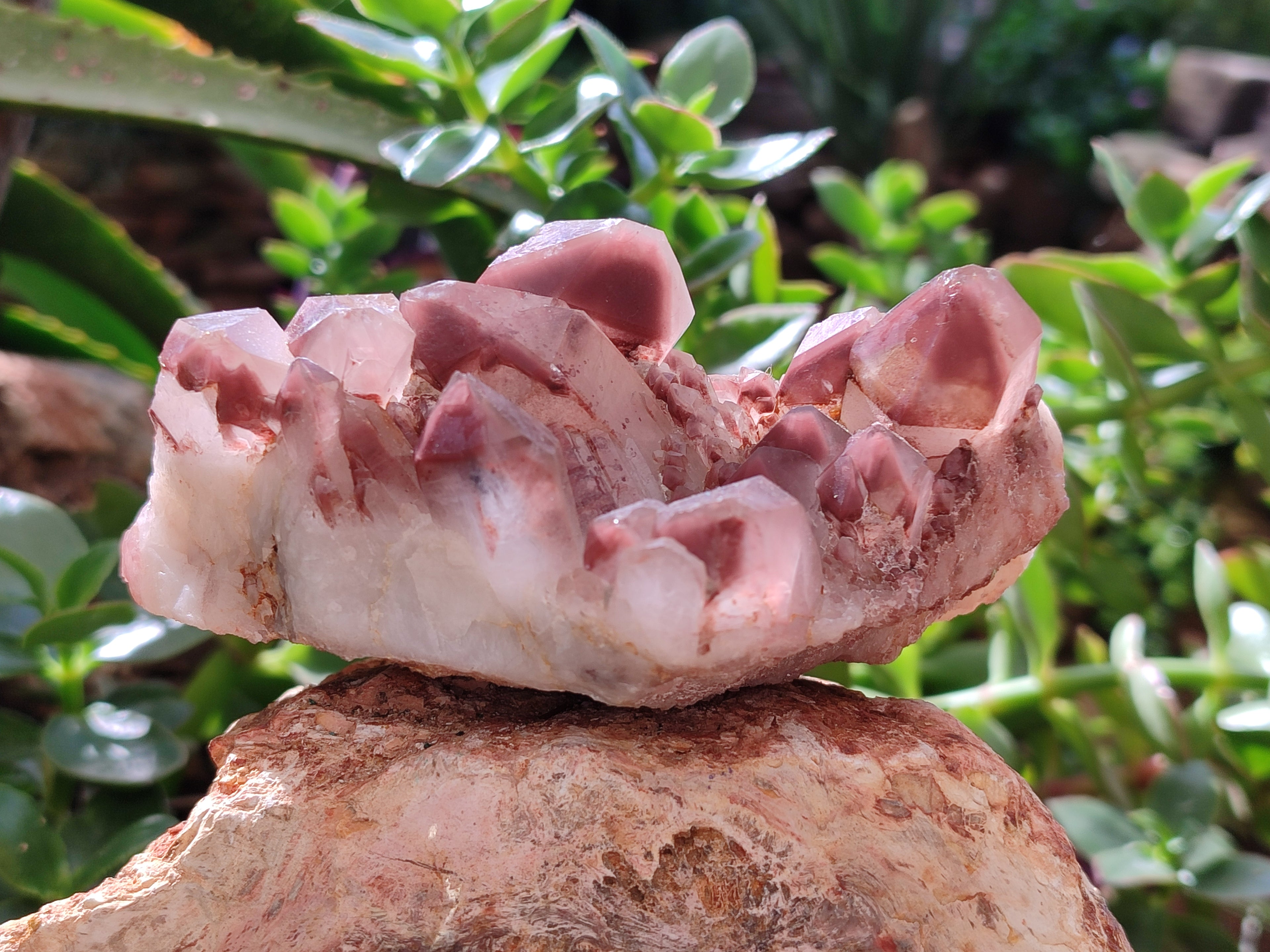 Natural Hematoid Quartz Clusters x 3 From Karoi, Zimbabwe - Toprock Gemstones and Minerals 