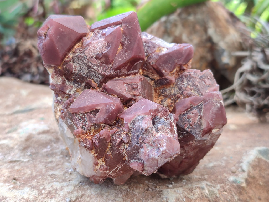 Natural Hematoid Quartz Clusters x 3 From Karoi, Zimbabwe - Toprock Gemstones and Minerals 