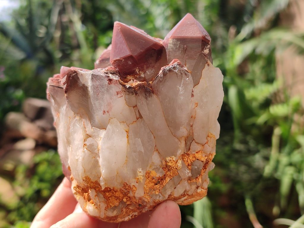 Natural Hematoid Quartz Clusters x 3 From Karoi, Zimbabwe - Toprock Gemstones and Minerals 