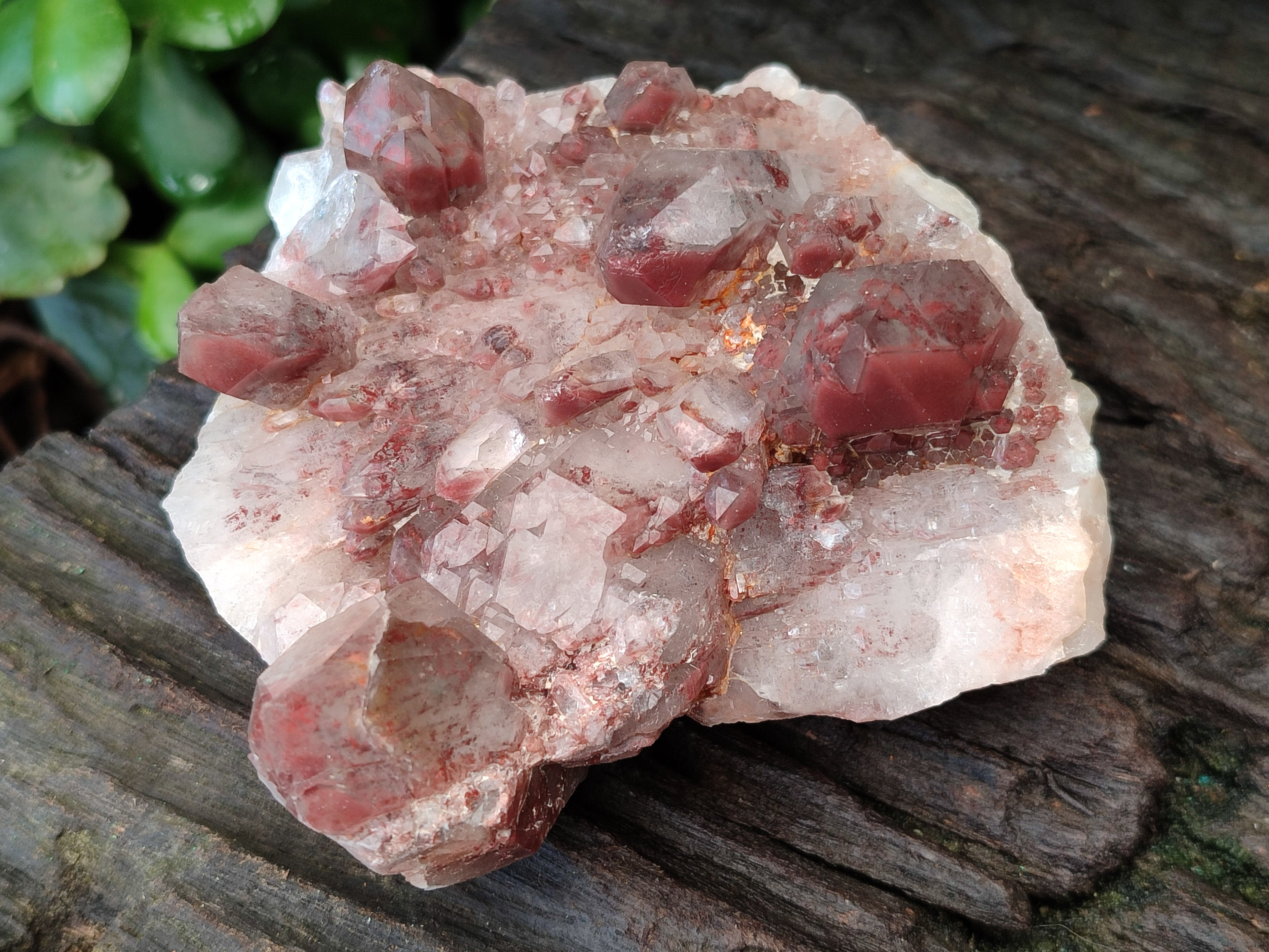 Natural Hematoid Quartz Clusters x 3 From Karoi, Zimbabwe - Toprock Gemstones and Minerals 
