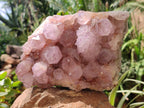 Natural Amethyst Spirit Quartz Cluster x 1 From Boekenhouthoek, South Africa - Toprock Gemstones and Minerals 