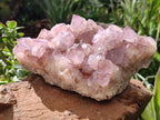 Natural Amethyst Spirit Quartz Cluster x 1 From Boekenhouthoek, South Africa - Toprock Gemstones and Minerals 