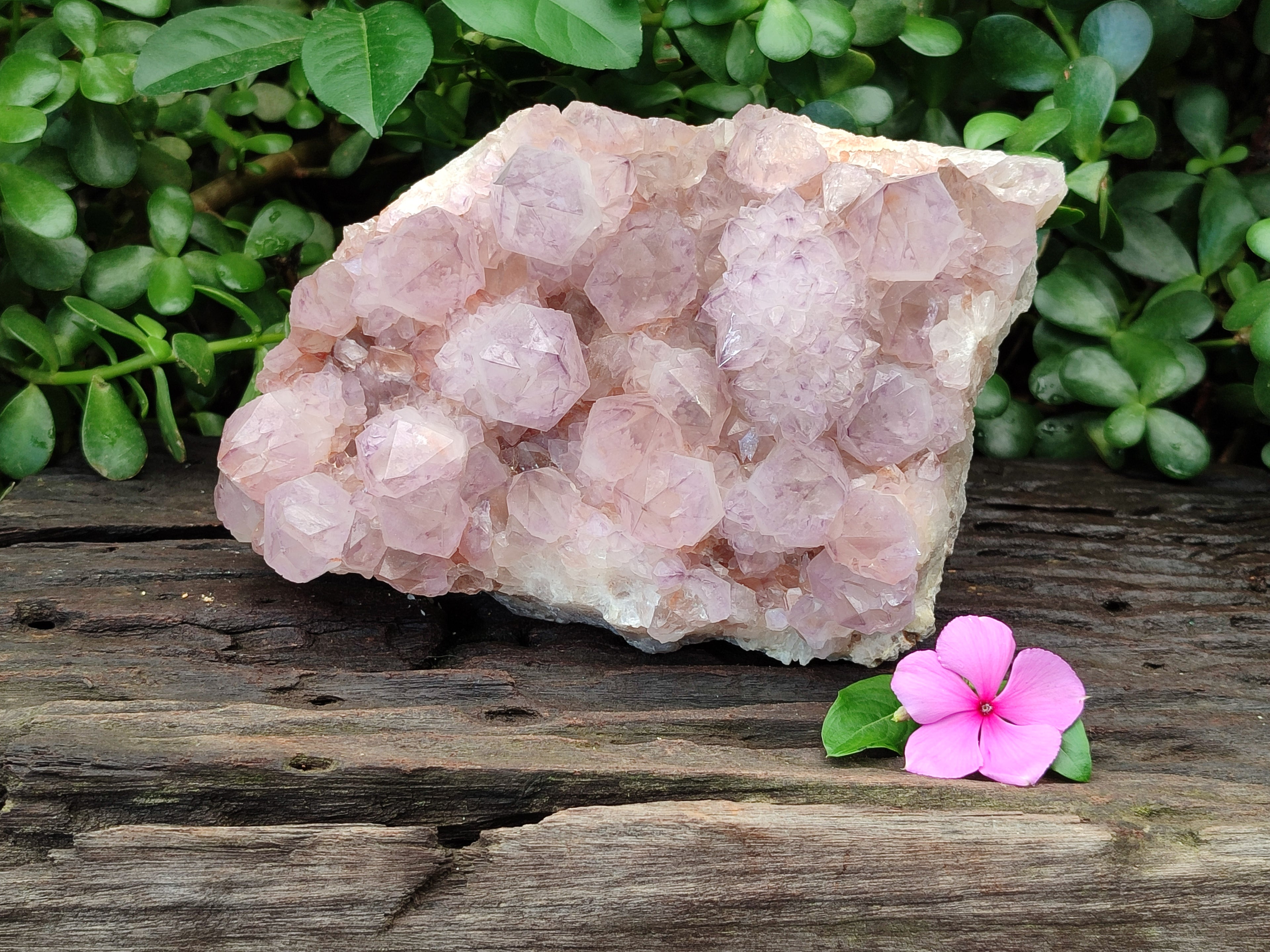 Natural Amethyst Spirit Quartz Cluster x 1 From Boekenhouthoek, South Africa - Toprock Gemstones and Minerals 