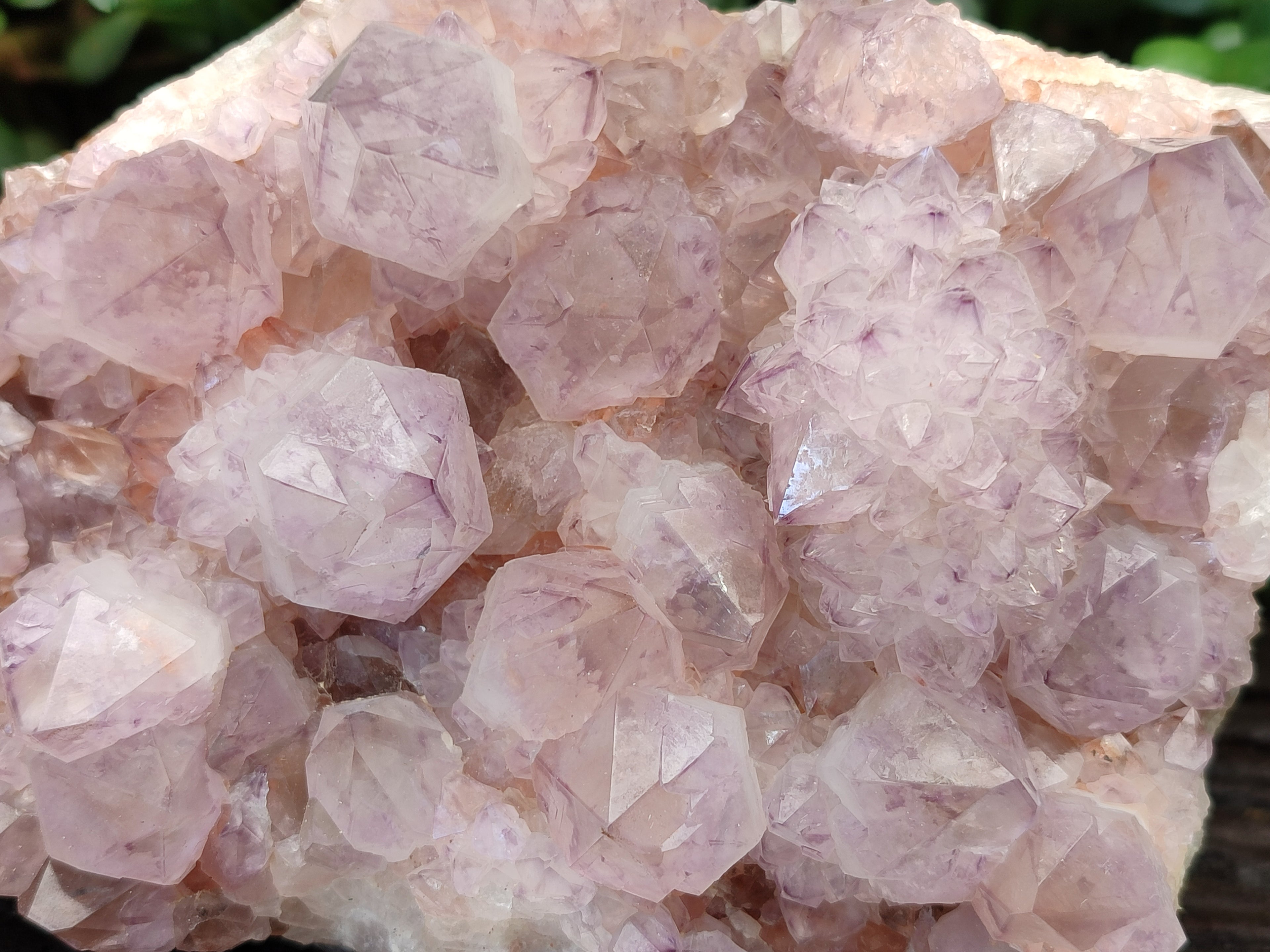 Natural Amethyst Spirit Quartz Cluster x 1 From Boekenhouthoek, South Africa - Toprock Gemstones and Minerals 
