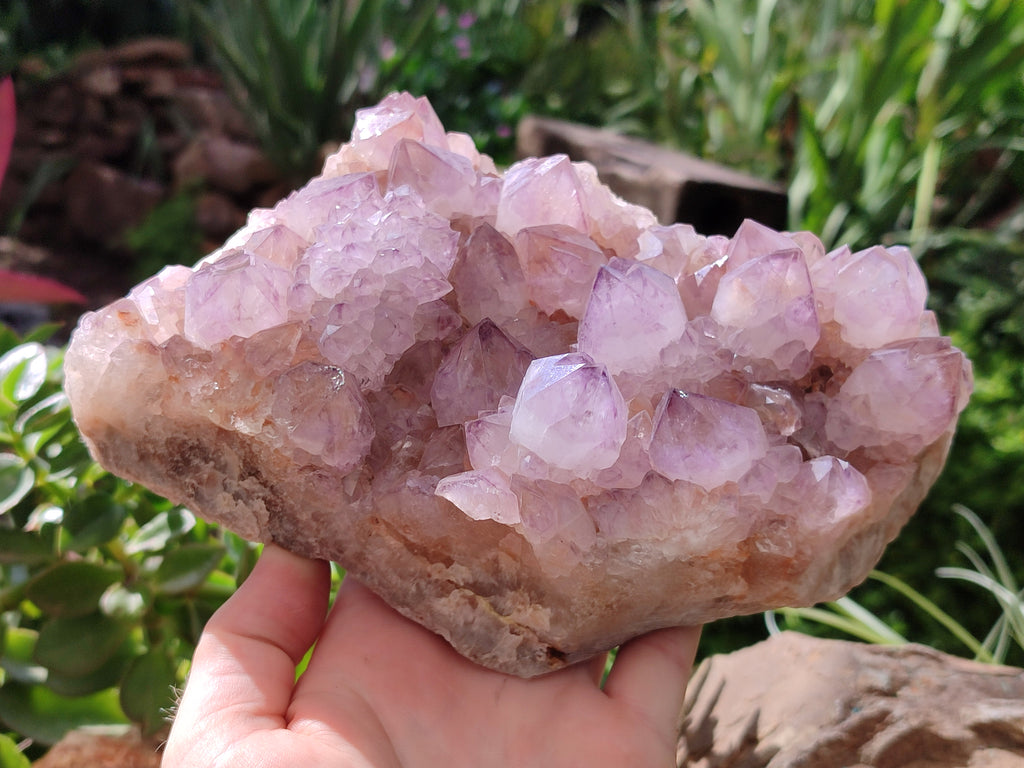 Natural Amethyst Spirit Quartz Cluster x 1 From Boekenhouthoek, South Africa - Toprock Gemstones and Minerals 