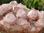 Natural Amethyst Spirit Quartz Cluster x 1 From Boekenhouthoek, South Africa - Toprock Gemstones and Minerals 