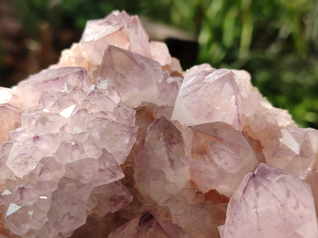 Natural Amethyst Spirit Quartz Cluster x 1 From Boekenhouthoek, South Africa - Toprock Gemstones and Minerals 