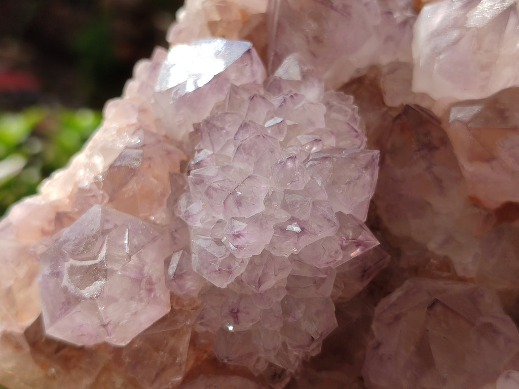 Natural Amethyst Spirit Quartz Cluster x 1 From Boekenhouthoek, South Africa - Toprock Gemstones and Minerals 