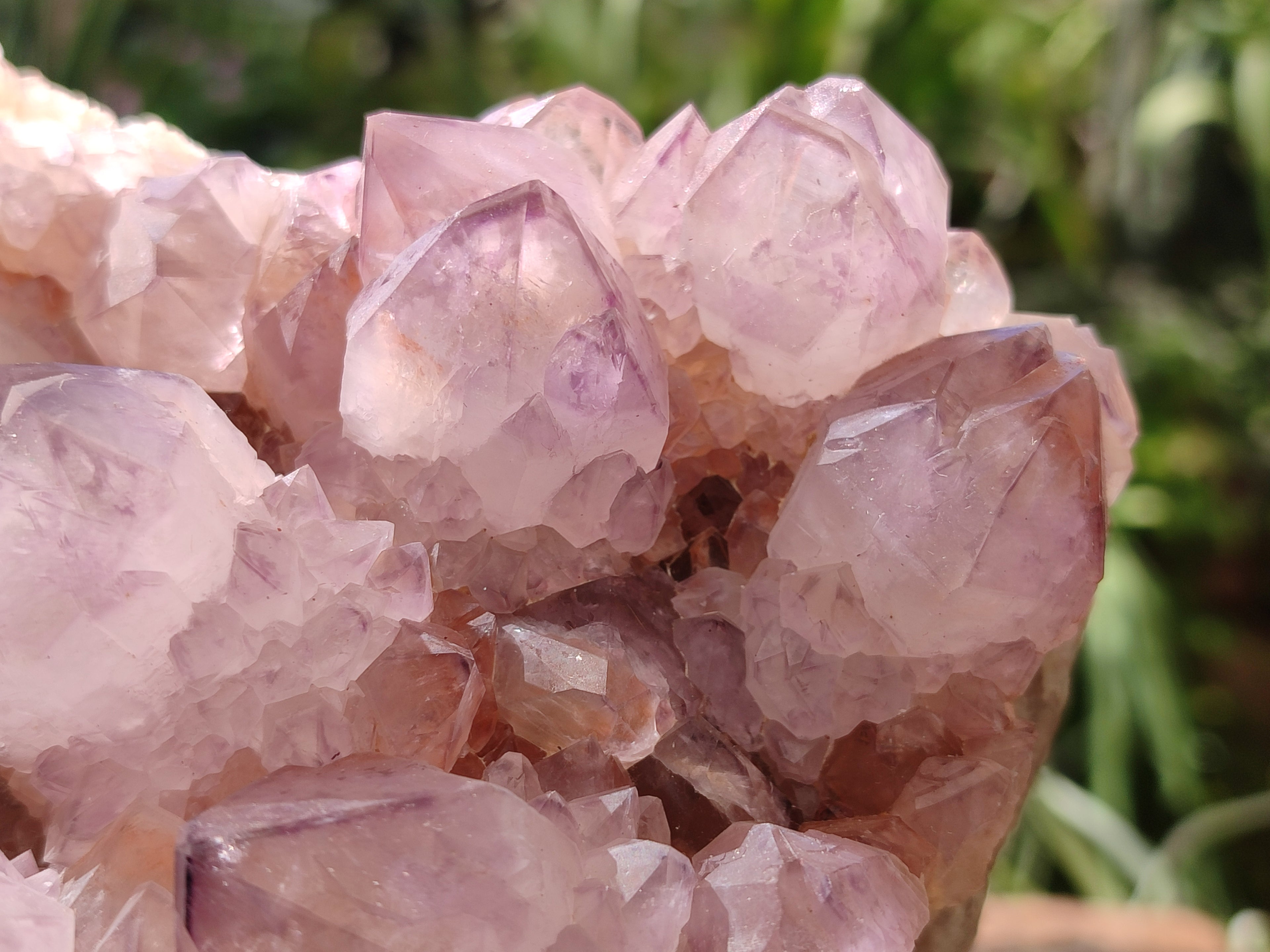 Natural Amethyst Spirit Quartz Cluster x 1 From Boekenhouthoek, South Africa - Toprock Gemstones and Minerals 