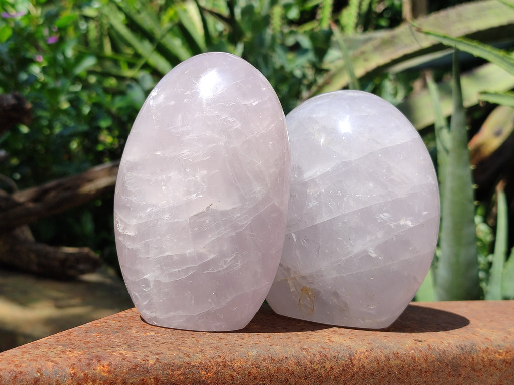 Polished Lavender Rose Quartz Standing Free Forms x 2 From Ambatondrazaka, Madagascar - Toprock Gemstones and Minerals 