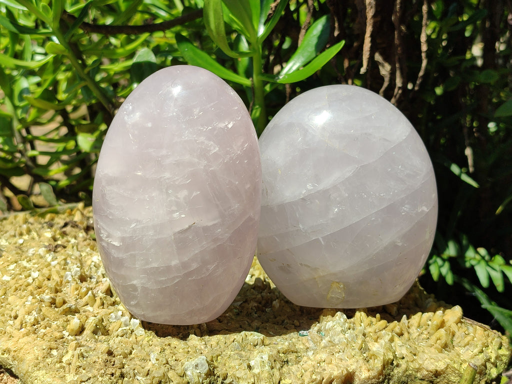 Polished Lavender Rose Quartz Standing Free Forms x 2 From Ambatondrazaka, Madagascar - Toprock Gemstones and Minerals 