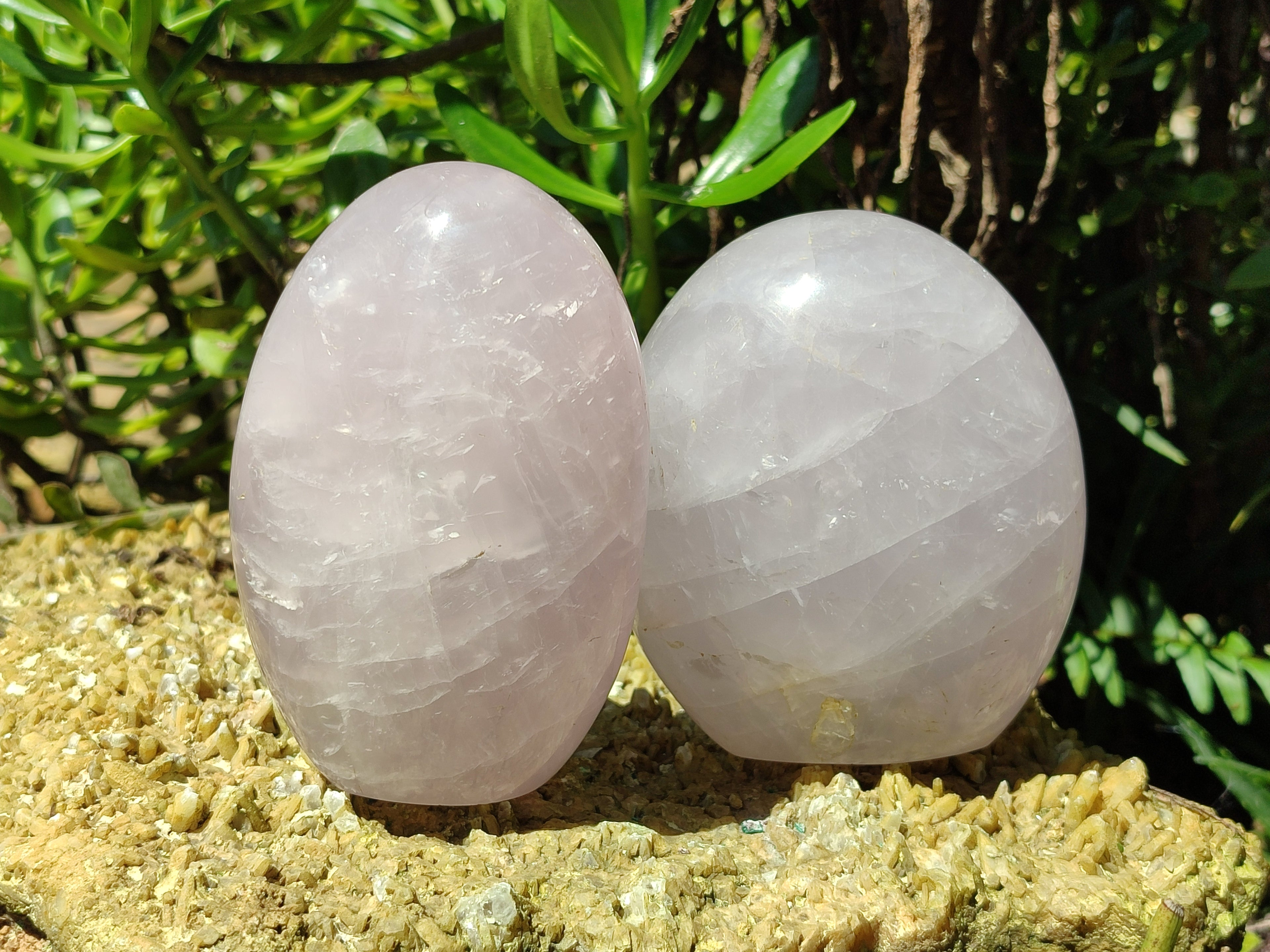 Polished Lavender Rose Quartz Standing Free Forms x 2 From Ambatondrazaka, Madagascar - Toprock Gemstones and Minerals 