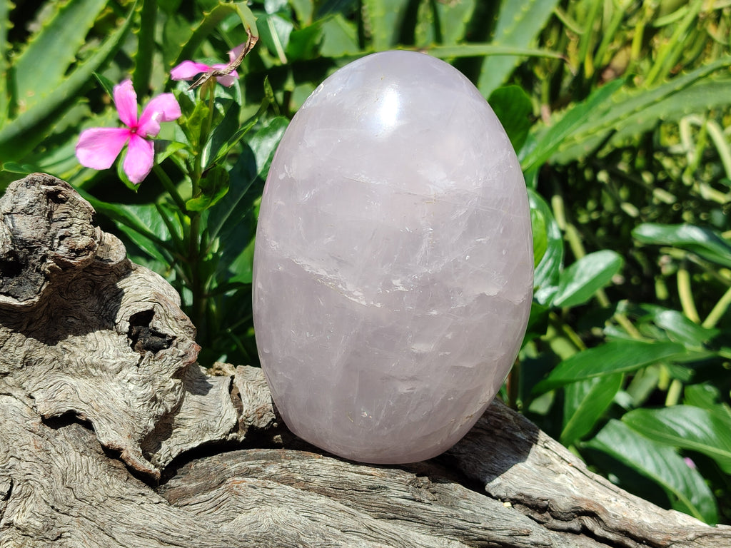 Polished Lavender Rose Quartz Standing Free Forms x 2 From Ambatondrazaka, Madagascar - Toprock Gemstones and Minerals 