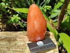 Polished Orange Twist Calcite Standing Free Forms x 2 From Madagascar - Toprock Gemstones and Minerals 