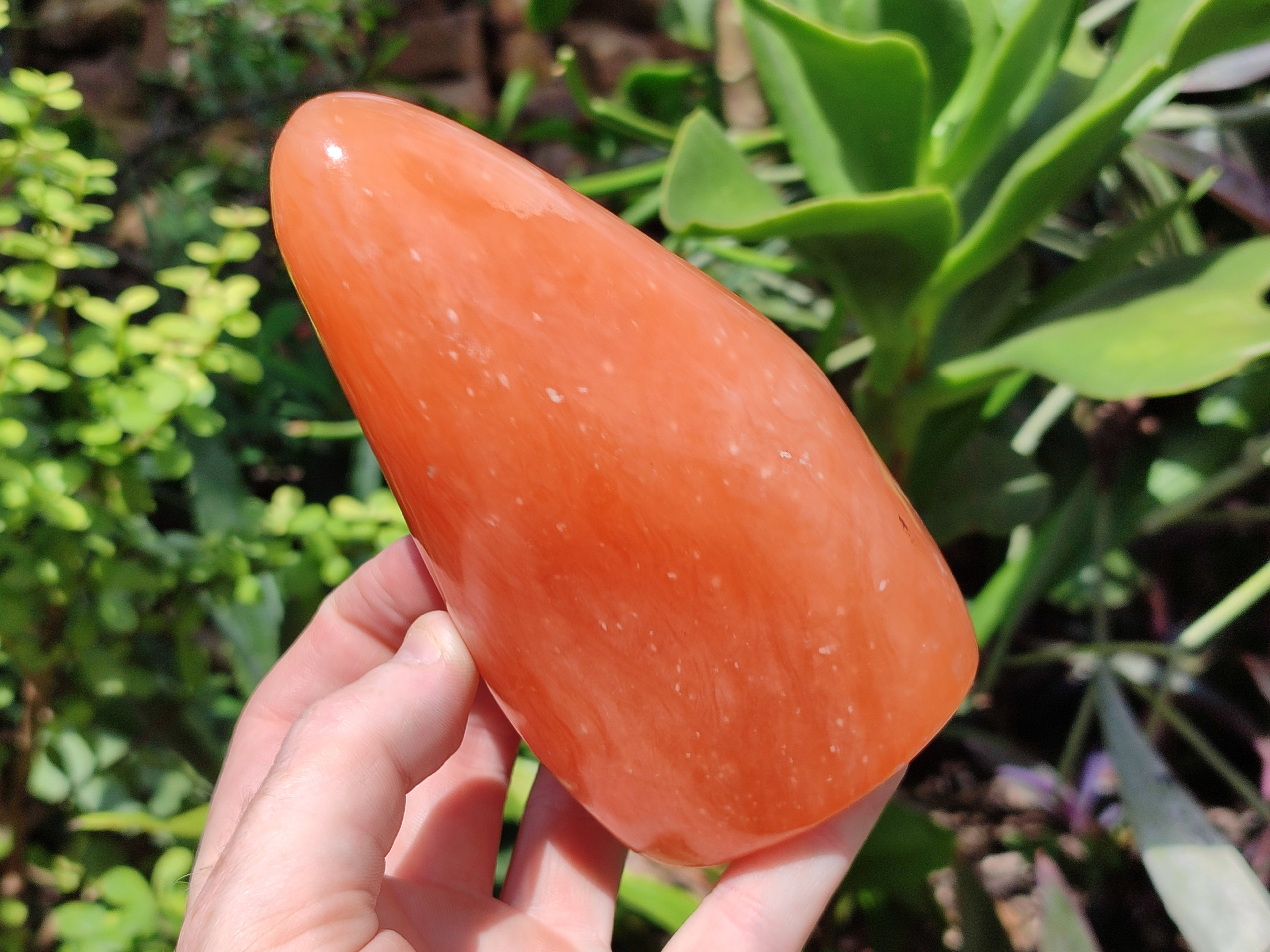 Polished Orange Twist Calcite Standing Free Forms x 2 From Madagascar - Toprock Gemstones and Minerals 