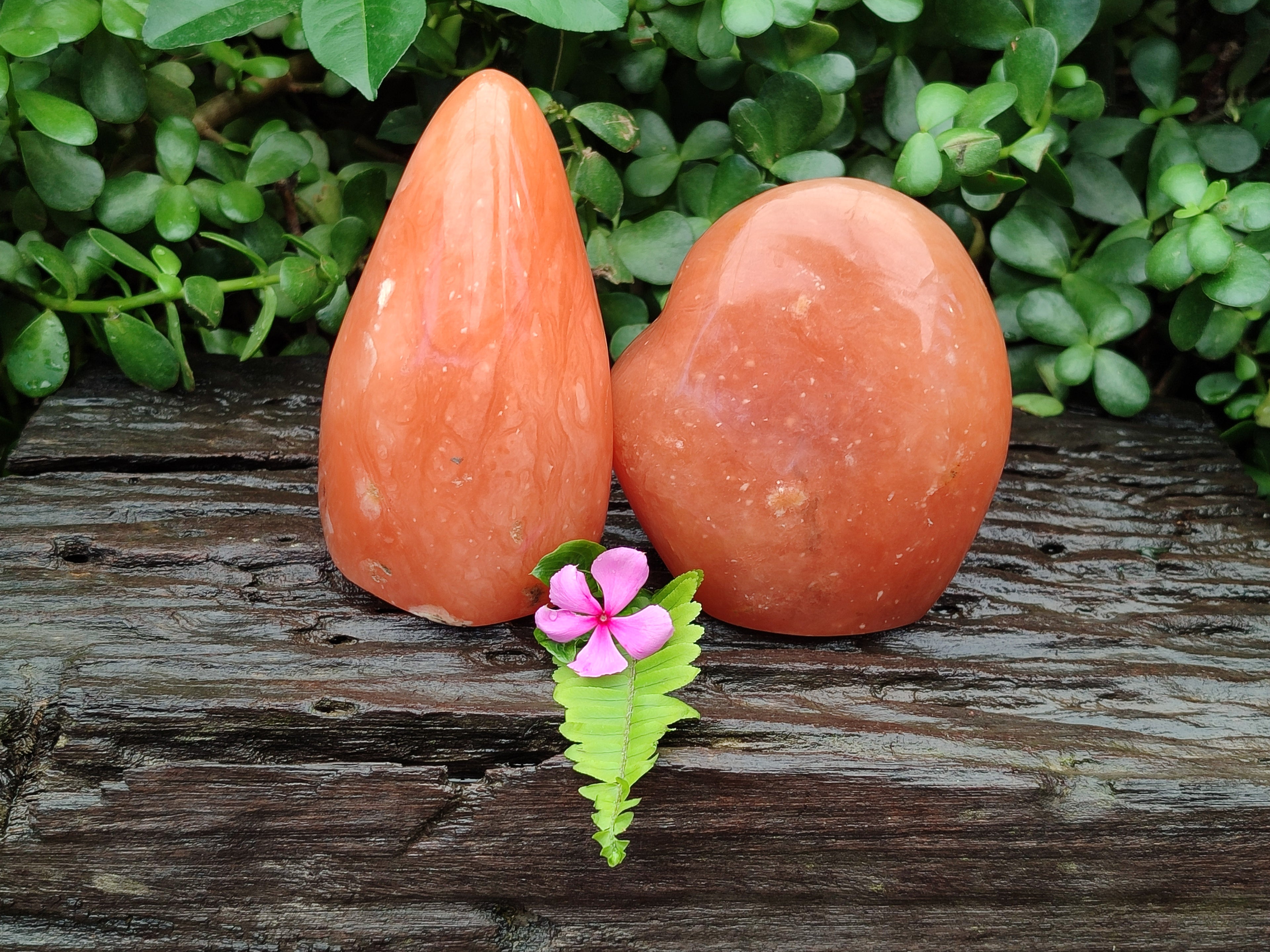 Polished Orange Twist Calcite Standing Free Forms x 2 From Madagascar - Toprock Gemstones and Minerals 