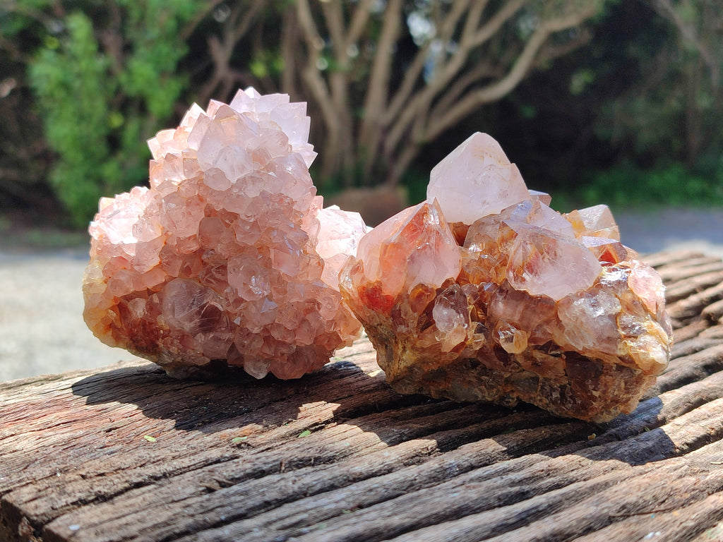 Natural Ametrine Spirit Quartz Clusters x 4 From Boekenhouthoek, South Africa - Toprock Gemstones and Minerals 