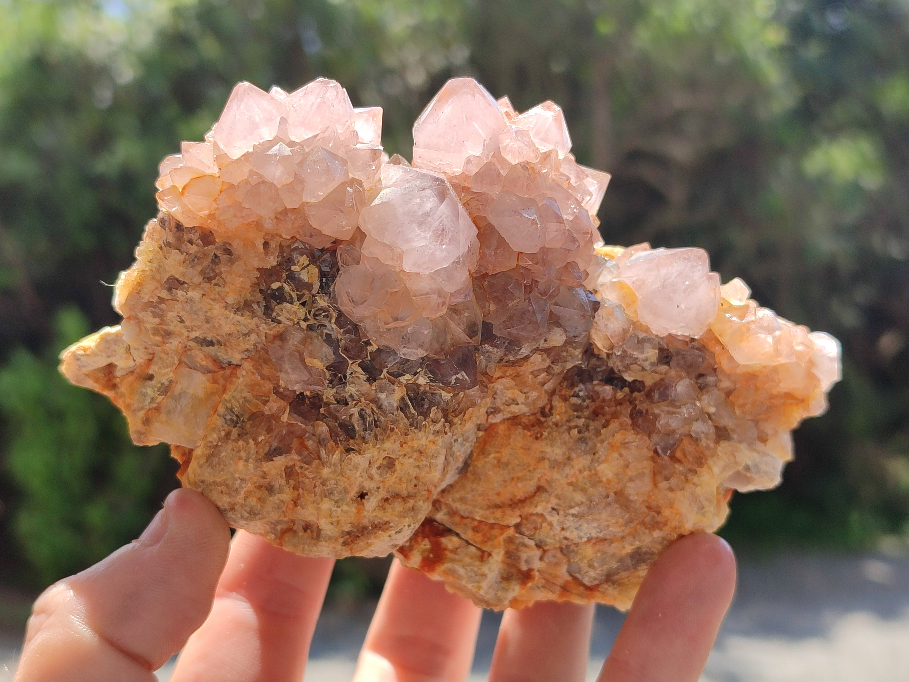 Natural Ametrine Spirit Quartz Clusters x 4 From Boekenhouthoek, South Africa - Toprock Gemstones and Minerals 