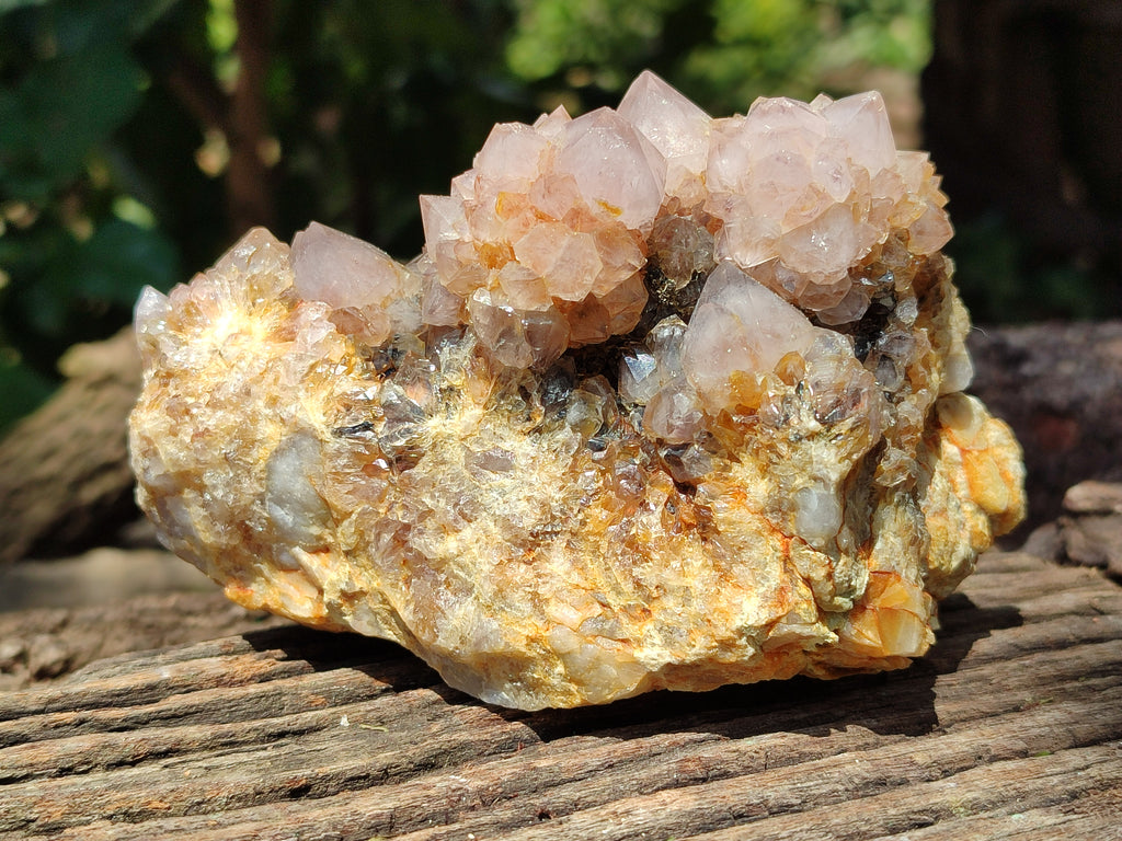 Natural Ametrine Spirit Quartz Clusters x 4 From Boekenhouthoek, South Africa - Toprock Gemstones and Minerals 