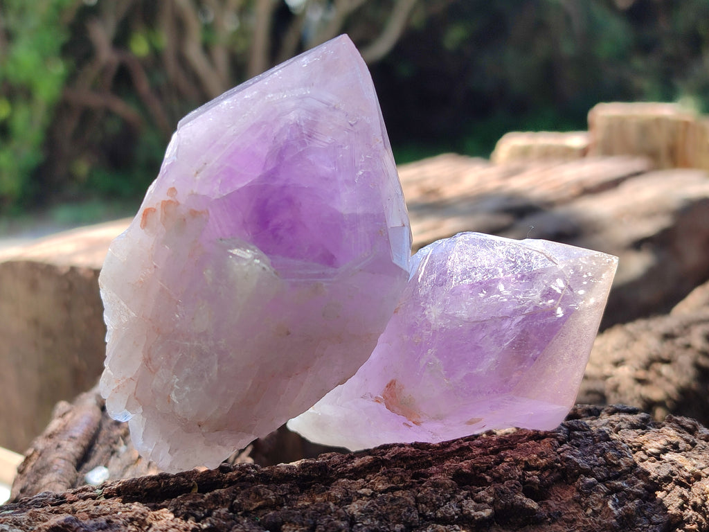 Natural Jacaranda Amethyst Quartz Crystals x 12 From Mumbwa, Zambia - Toprock Gemstones and Minerals 
