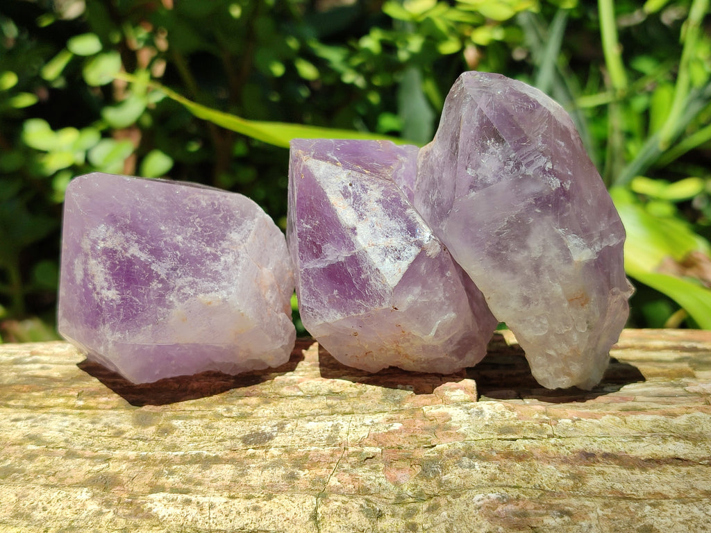 Natural Jacaranda Amethyst Quartz Crystals x 12 From Mumbwa, Zambia - Toprock Gemstones and Minerals 