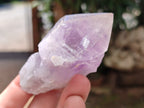 Natural Jacaranda Amethyst Quartz Crystals x 12 From Mumbwa, Zambia - Toprock Gemstones and Minerals 