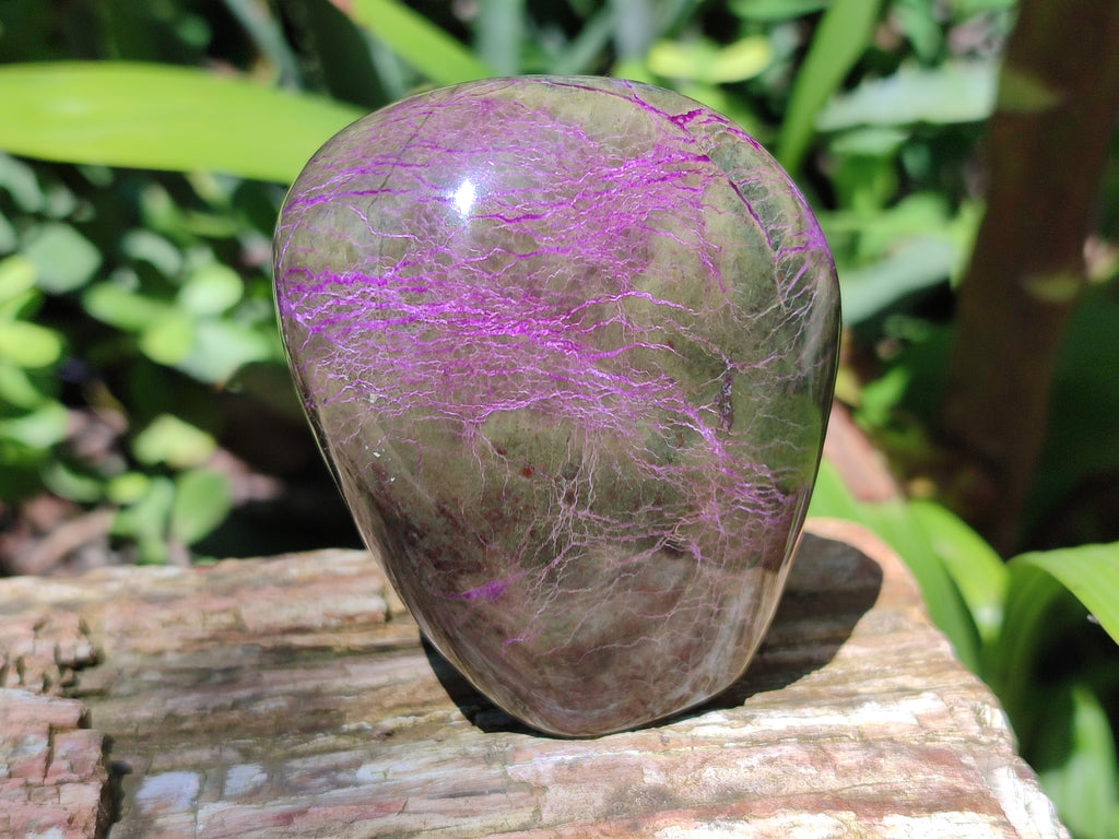 Polished Stichtite Standing Free Forms x 4 From Barberton, South Africa - Toprock Gemstones and Minerals 