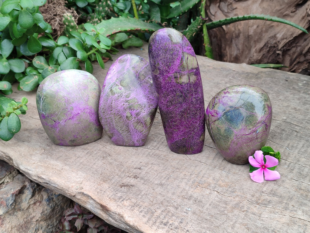 Polished Stichtite Standing Free Forms x 4 From Barberton, South Africa - Toprock Gemstones and Minerals 