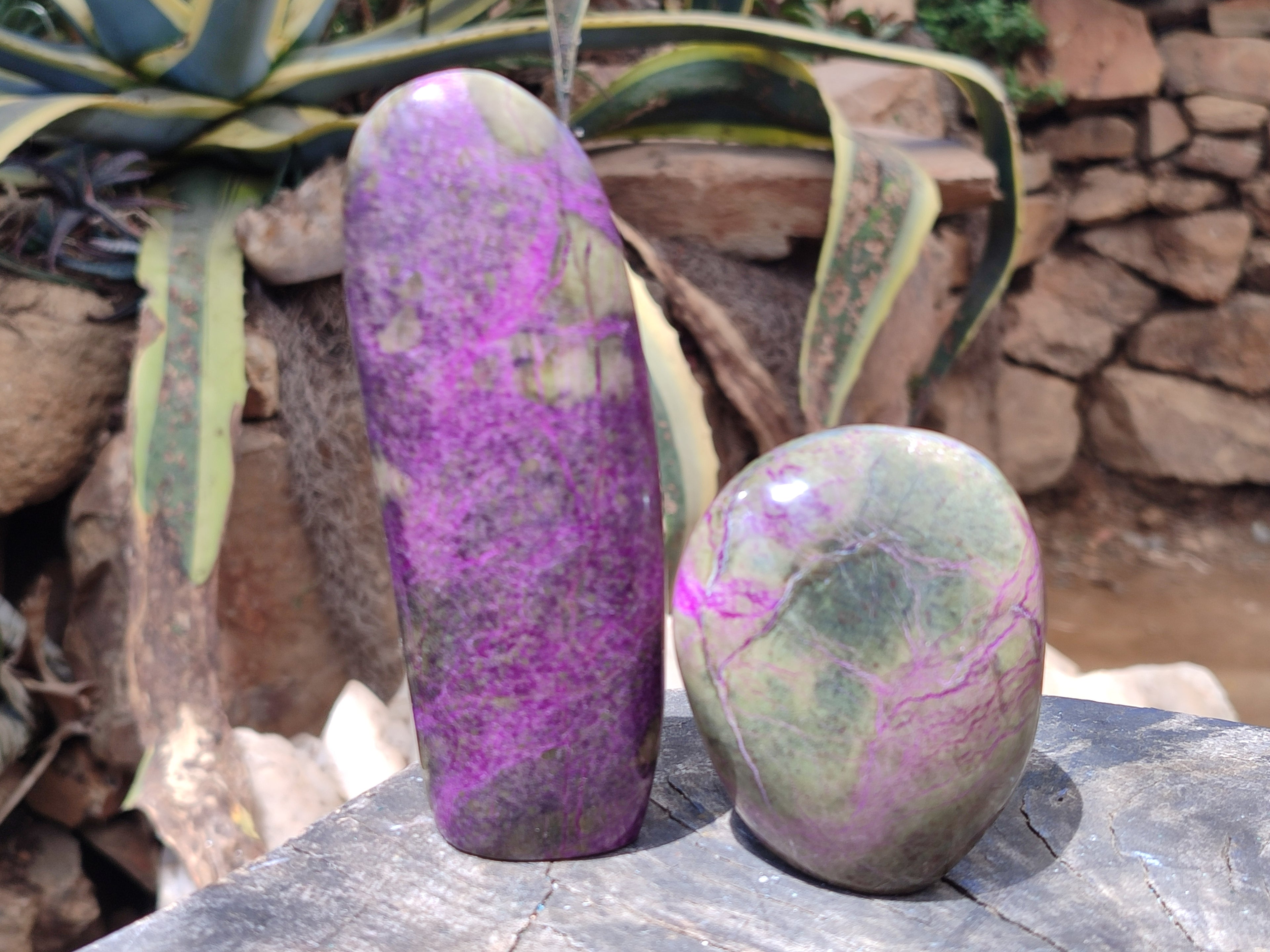 Polished Stichtite Standing Free Forms x 4 From Barberton, South Africa - Toprock Gemstones and Minerals 