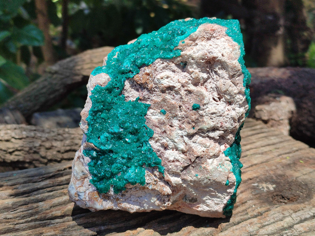 Natural Dioptase Cabinet Specimen x 1 From Likasi, Congo - Toprock Gemstones and Minerals 