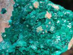 Natural Dioptase Cabinet Specimen x 1 From Likasi, Congo - Toprock Gemstones and Minerals 