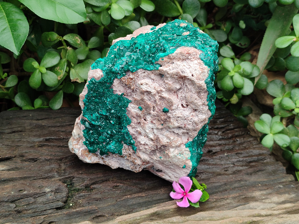 Natural Dioptase Cabinet Specimen x 1 From Likasi, Congo - Toprock Gemstones and Minerals 