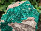 Natural Dioptase Cabinet Specimen x 1 From Likasi, Congo - Toprock Gemstones and Minerals 