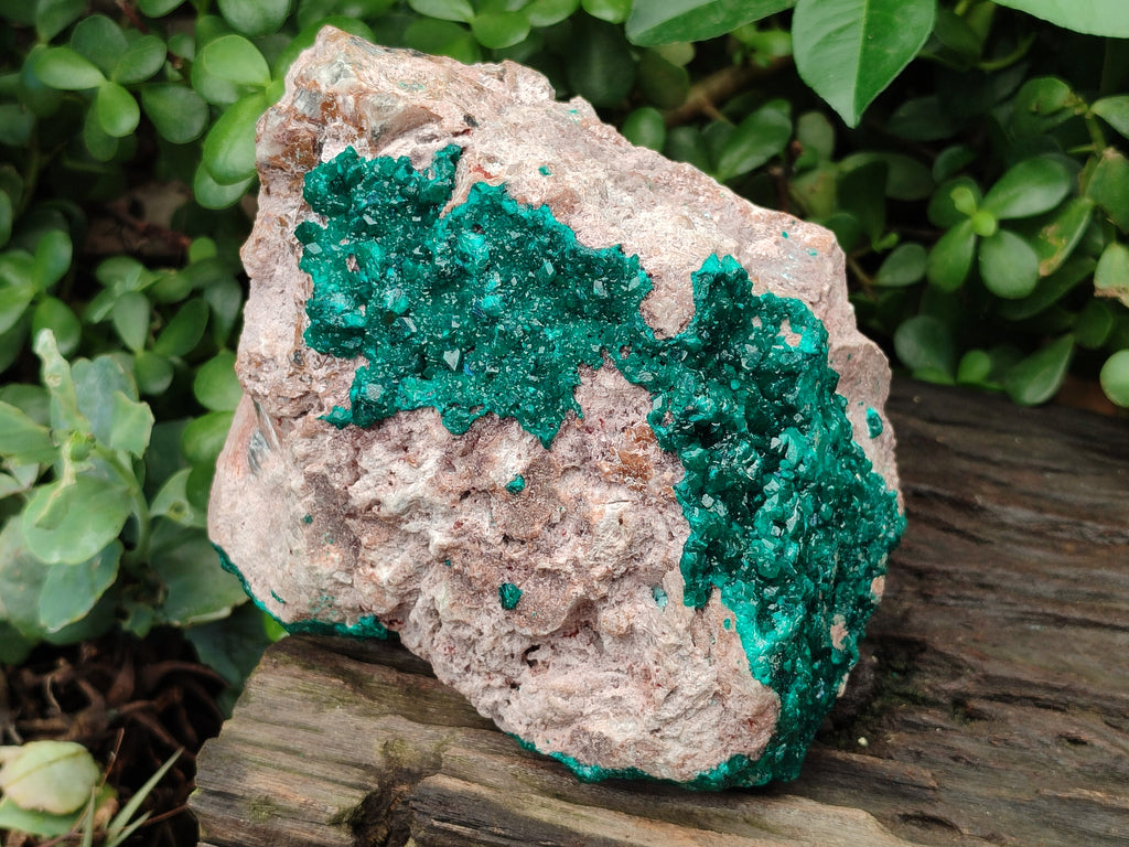 Natural Dioptase Cabinet Specimen x 1 From Likasi, Congo - Toprock Gemstones and Minerals 