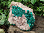 Natural Dioptase Cabinet Specimen x 1 From Likasi, Congo - Toprock Gemstones and Minerals 
