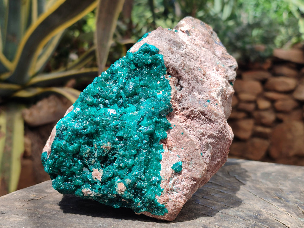 Natural Dioptase Cabinet Specimen x 1 From Likasi, Congo - Toprock Gemstones and Minerals 