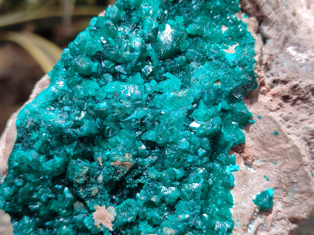 Natural Dioptase Cabinet Specimen x 1 From Likasi, Congo - Toprock Gemstones and Minerals 