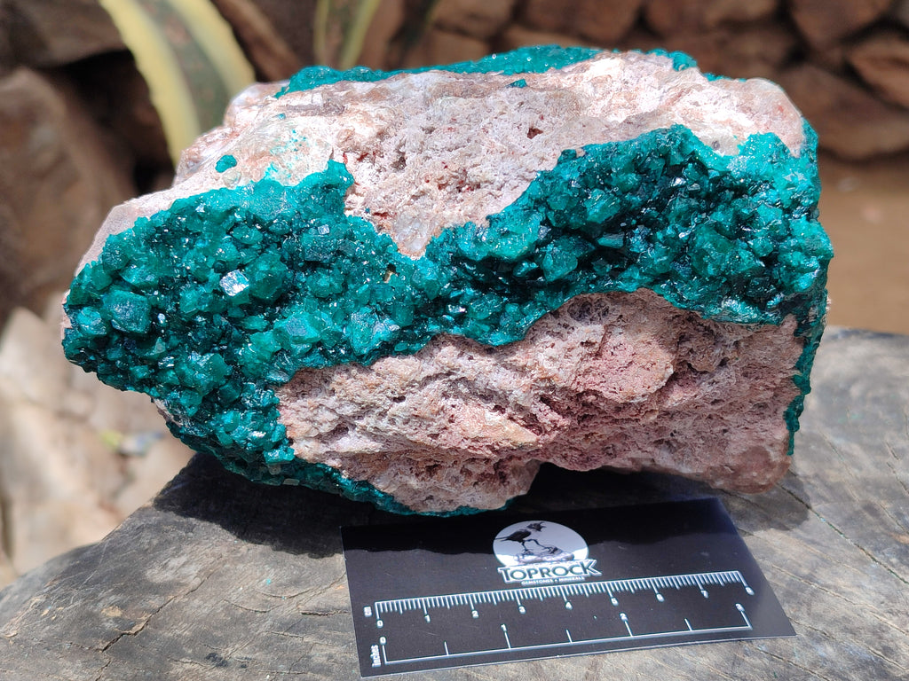 Natural Dioptase Cabinet Specimen x 1 From Likasi, Congo - Toprock Gemstones and Minerals 