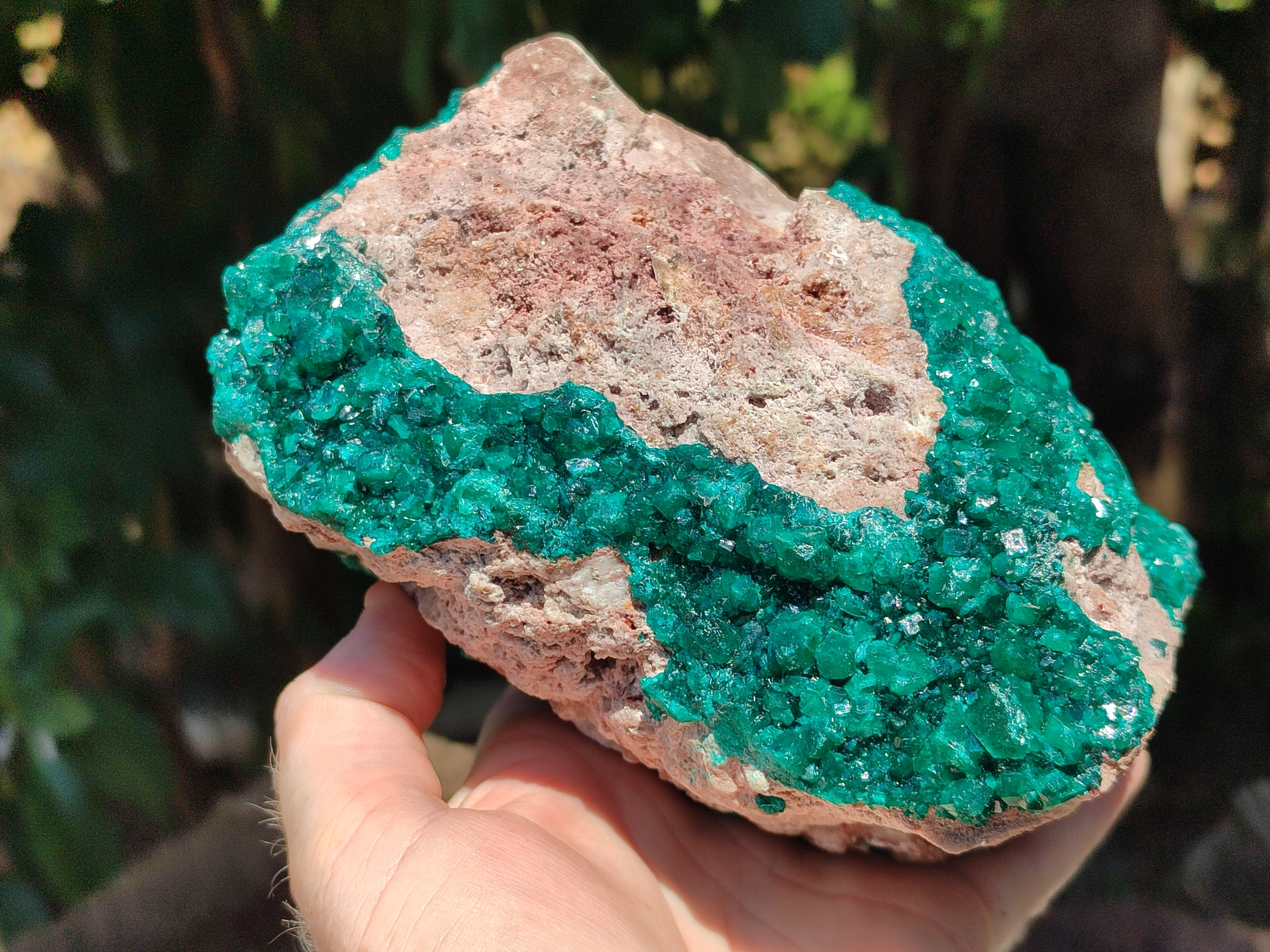 Natural Dioptase Cabinet Specimen x 1 From Likasi, Congo - Toprock Gemstones and Minerals 