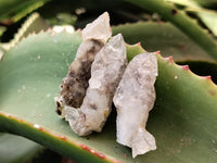 Natural Drusy Quartz Coated Calcite Pseudomorph Specimens x 20 From Alberts Mountain, Lesotho