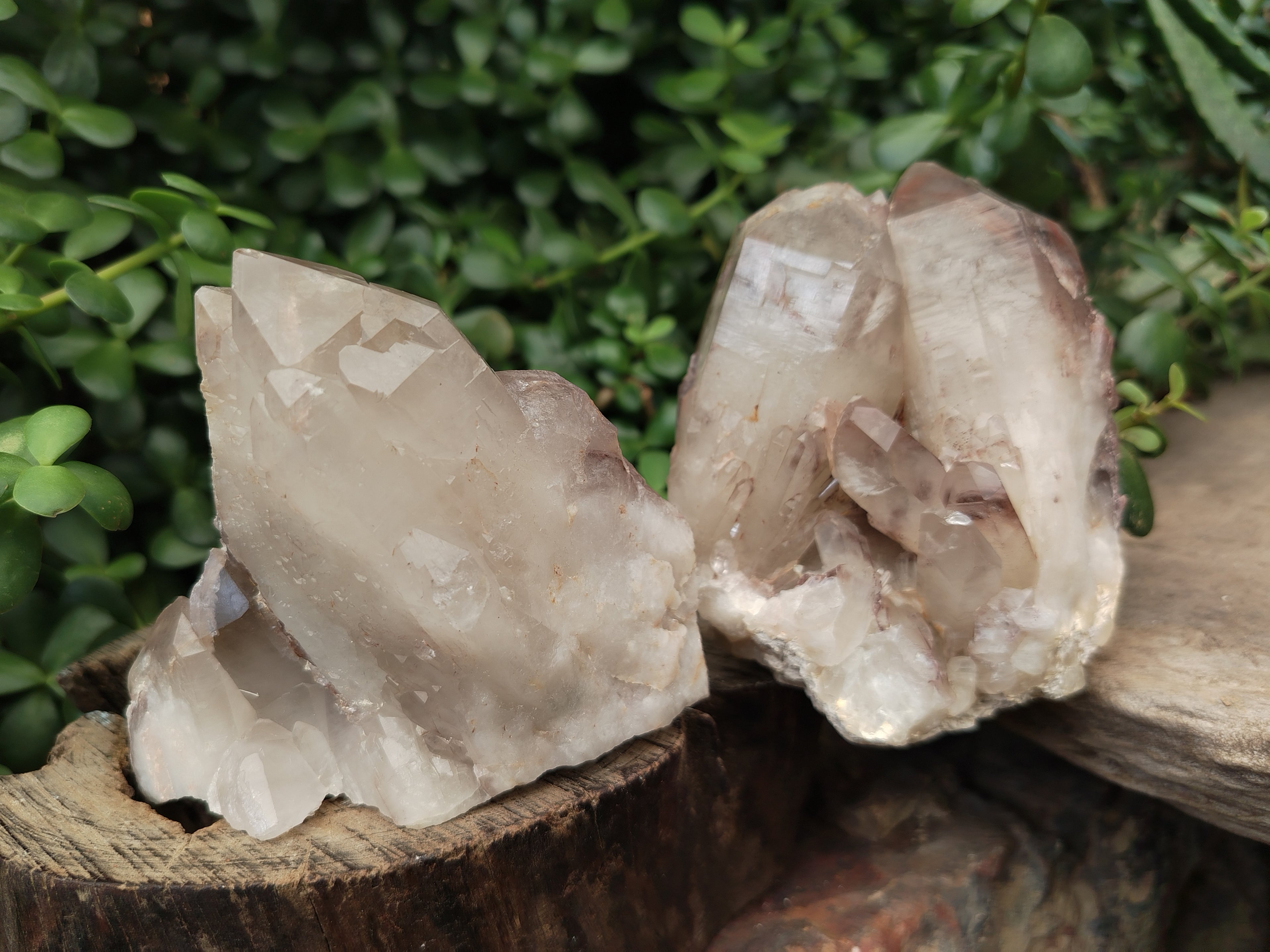Natural Hematoid Quartz Clusters x 3 From Karoi, Zimbabwe - Toprock Gemstones and Minerals 