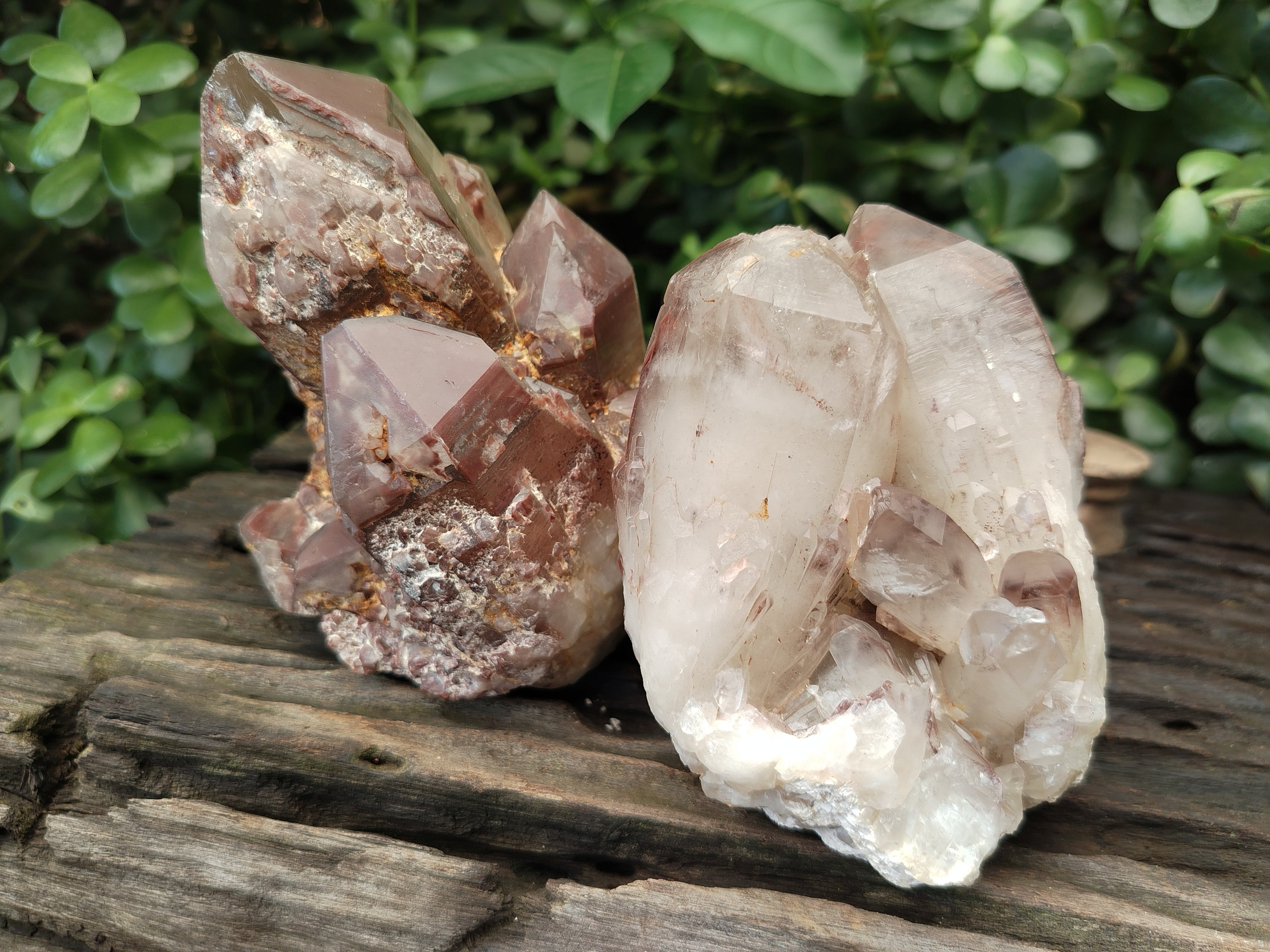 Natural Hematoid Quartz Clusters x 3 From Karoi, Zimbabwe - Toprock Gemstones and Minerals 