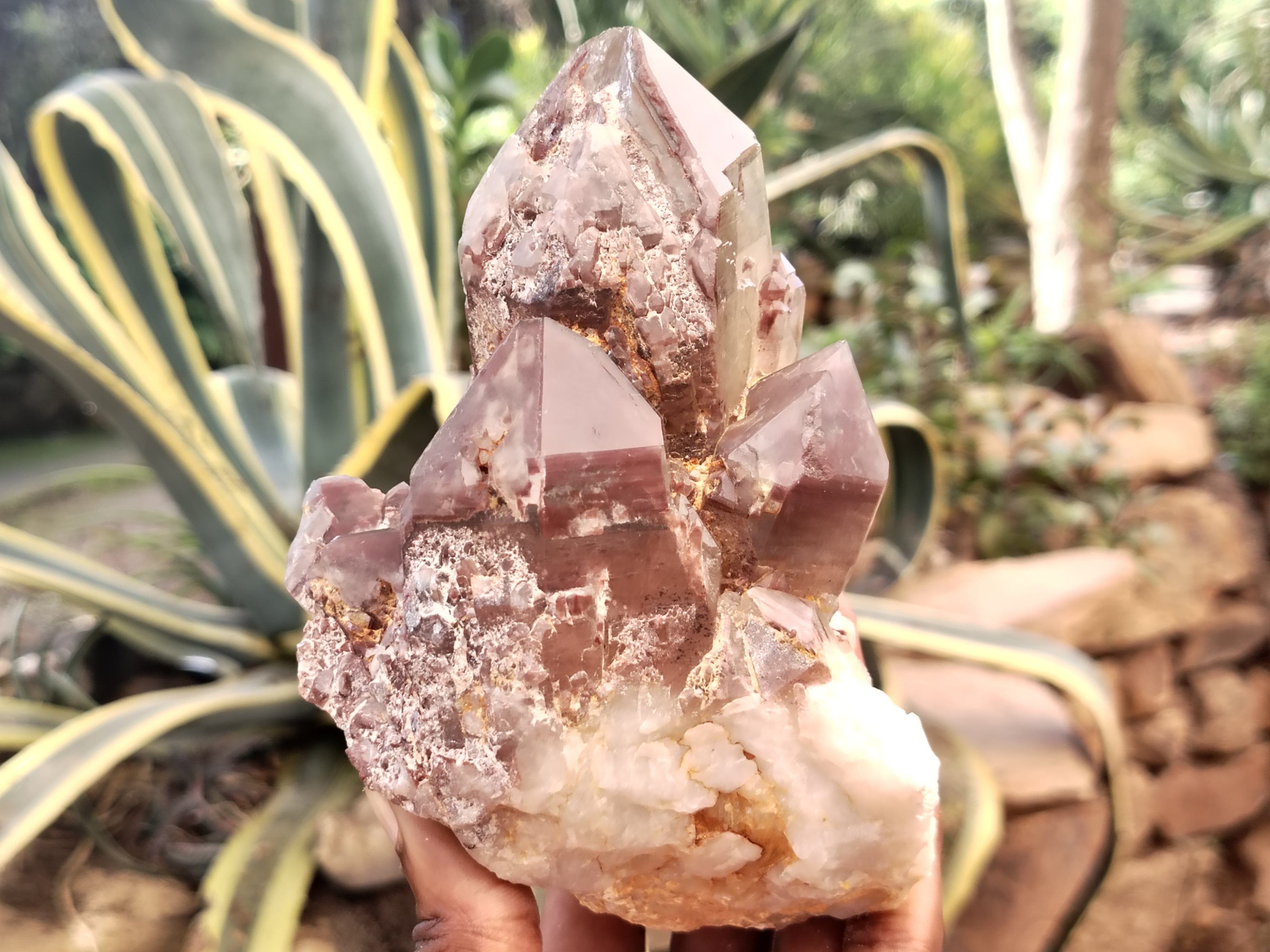 Natural Hematoid Quartz Clusters x 3 From Karoi, Zimbabwe - Toprock Gemstones and Minerals 