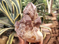 Natural Hematoid Quartz Clusters x 3 From Karoi, Zimbabwe - Toprock Gemstones and Minerals 