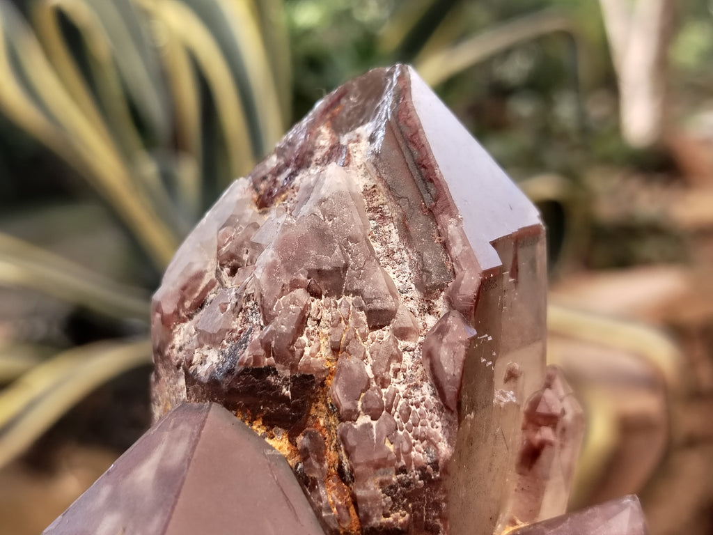 Natural Hematoid Quartz Clusters x 3 From Karoi, Zimbabwe - Toprock Gemstones and Minerals 