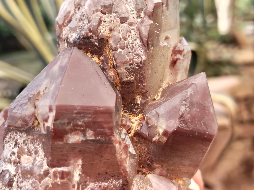 Natural Hematoid Quartz Clusters x 3 From Karoi, Zimbabwe - Toprock Gemstones and Minerals 