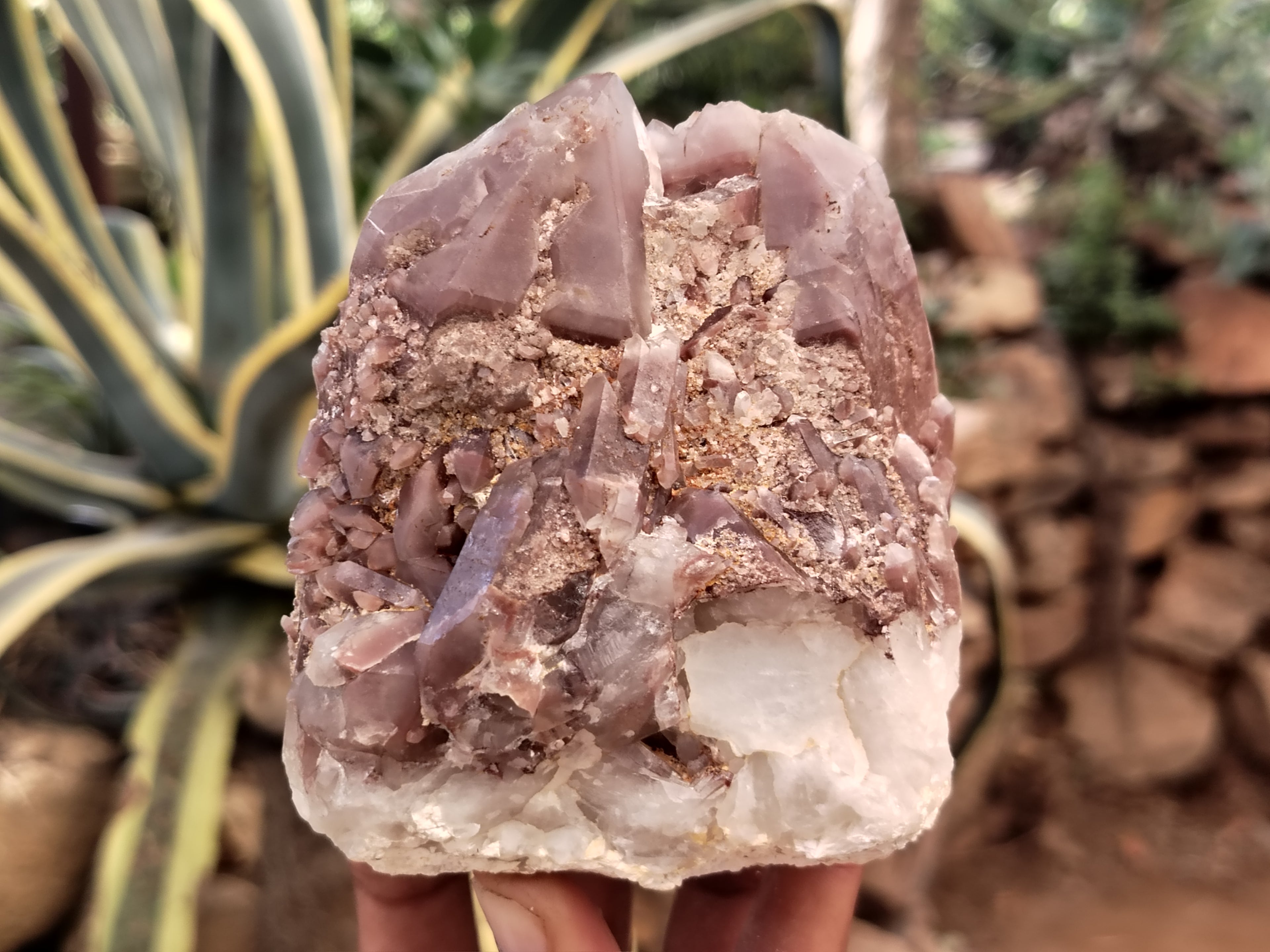 Natural Hematoid Quartz Clusters x 3 From Karoi, Zimbabwe - Toprock Gemstones and Minerals 