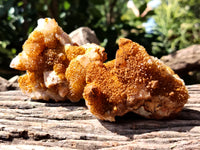Natural Golden Solar Spirit Quartz Clusters x 12 From Boekenhouthoek, South Africa - Toprock Gemstones and Minerals 
